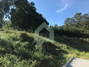 Terreno R�stico - Creixomil, Barcelos, Braga - Miniatura: 6/9
