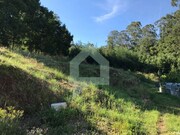 Terreno R�stico - Creixomil, Barcelos, Braga - Miniatura: 8/9