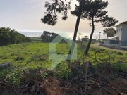 Terreno R�stico - Moledo, Caminha, Viana do Castelo - Miniatura: 2/9