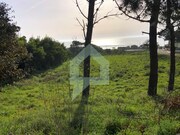 Terreno R�stico - Moledo, Caminha, Viana do Castelo - Miniatura: 3/9