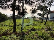Terreno R�stico - Moledo, Caminha, Viana do Castelo - Miniatura: 4/9