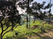 Terreno R�stico - Moledo, Caminha, Viana do Castelo - Miniatura: 5/9