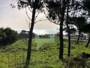 Terreno R�stico - Moledo, Caminha, Viana do Castelo - Miniatura: 6/9