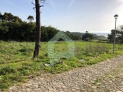 Terreno R�stico - Moledo, Caminha, Viana do Castelo - Miniatura: 9/9