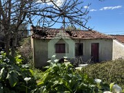 Moradia T0 - Rio Covo (Santa Eug�nia), Barcelos, Braga - Miniatura: 8/9
