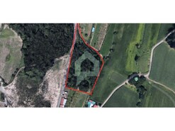 Terreno Rstico - Silveiros e Rio Covo, Barcelos, Braga