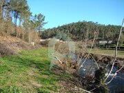 Terreno Rstico - Cossourado, Barcelos, Braga - Miniatura: 1/9
