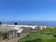 Terreno Urbano T0 - Prazeres, Calheta (Madeira), Ilha da Madeira - Miniatura: 4/8