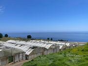 Terreno Urbano T0 - Prazeres, Calheta (Madeira), Ilha da Madeira - Miniatura: 6/8