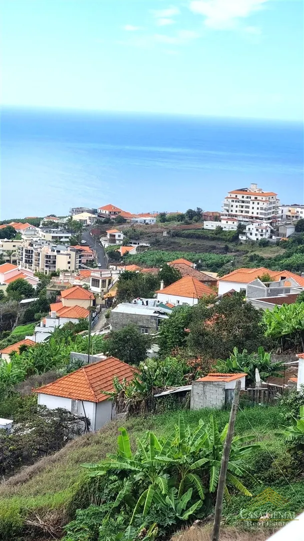 Moradia > T6 - Calheta (Madeira), Calheta (Madeira), Ilha da Madeira - Miniatura: 1/9