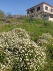 Terreno Urbano T0 - Estreito Cmara de Lobos, Cmara de Lobos, Ilha da Madeira - Miniatura: 3/9