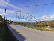 Terreno Rstico - Alenquer, Alenquer, Lisboa - Miniatura: 4/7