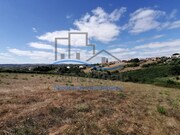 Terreno R�stico - Ventosa, Alenquer, Lisboa - Miniatura: 9/9