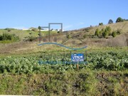 Terreno R�stico - Olhalvo, Alenquer, Lisboa - Miniatura: 1/3