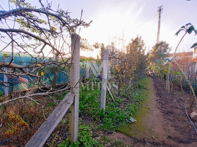 Terreno R�stico - Santa Maria Maior, Viana do Castelo, Viana do Castelo - Imagem grande