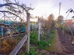 Terreno R�stico - Santa Maria Maior, Viana do Castelo, Viana do Castelo