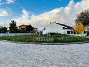 Terreno R�stico - Vila Franca, Viana do Castelo, Viana do Castelo - Miniatura: 4/5