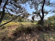 Terreno Rstico - Subportela, Viana do Castelo, Viana do Castelo - Miniatura: 3/7