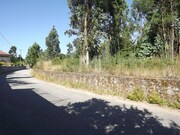 Terreno R�stico - Santa Marta de Portuzelo, Viana do Castelo, Viana do Castelo - Miniatura: 6/7