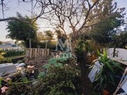 Terreno R�stico - Santa Maria Maior, Viana do Castelo, Viana do Castelo - Miniatura: 3/9