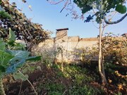 Terreno R�stico - Santa Maria Maior, Viana do Castelo, Viana do Castelo - Miniatura: 7/9