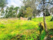 Moradia T3 - Barroselas, Viana do Castelo, Viana do Castelo - Miniatura: 3/9