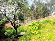 Moradia T3 - Barroselas, Viana do Castelo, Viana do Castelo - Miniatura: 4/9