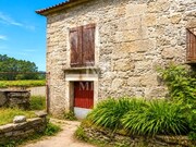 Quinta T4 - Cardielos, Viana do Castelo, Viana do Castelo - Miniatura: 8/9