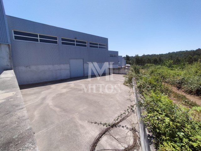 Armazém - Fragoso, Barcelos, Braga - Imagem grande