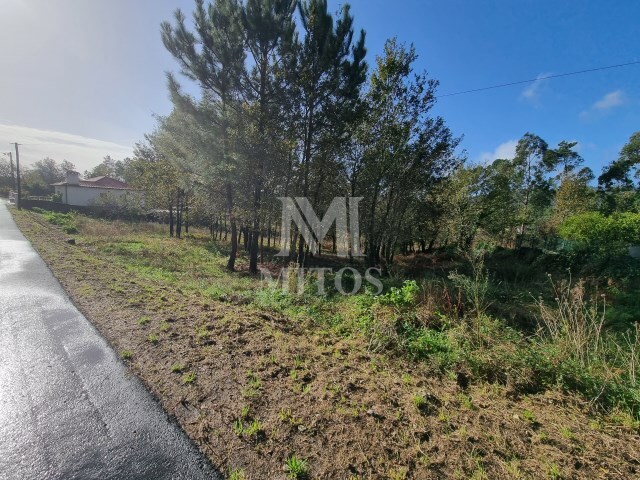 Terreno R�stico - Nogueira, Viana do Castelo, Viana do Castelo - Imagem grande