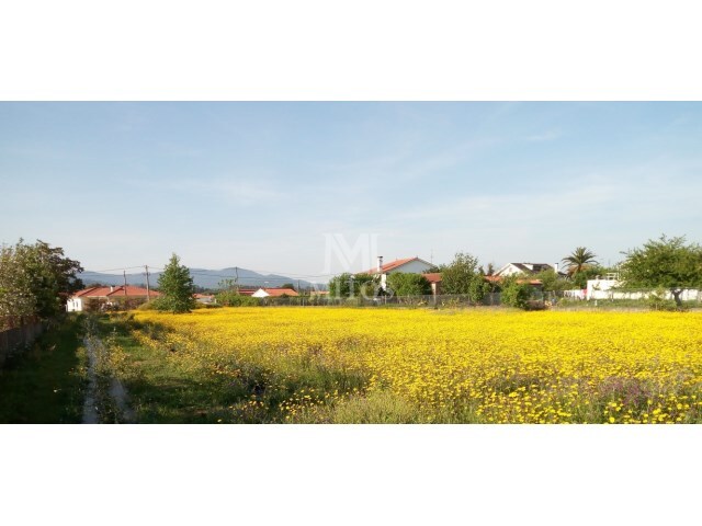 Terreno R�stico - Campos, Vila Nova de Cerveira, Viana do Castelo - Imagem grande