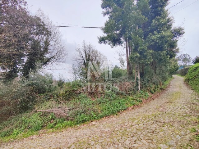Terreno R�stico - Venade, Caminha, Viana do Castelo - Imagem grande