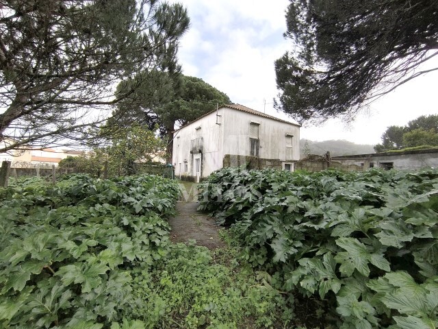 Quinta T5 - Darque, Viana do Castelo, Viana do Castelo - Imagem grande