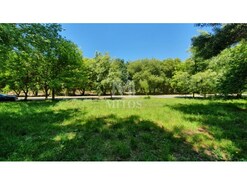 Terreno R�stico - Moledo, Caminha, Viana do Castelo