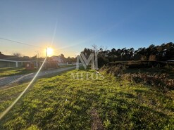 Terreno R�stico - Alvar�es, Viana do Castelo, Viana do Castelo