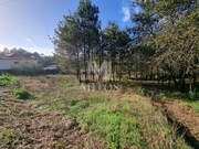 Terreno R�stico - Nogueira, Viana do Castelo, Viana do Castelo - Miniatura: 1/9