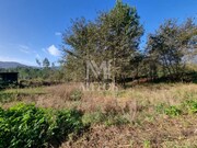 Terreno R�stico - Nogueira, Viana do Castelo, Viana do Castelo - Miniatura: 4/9