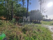 Terreno R�stico - Nogueira, Viana do Castelo, Viana do Castelo - Miniatura: 5/9
