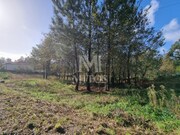 Terreno R�stico - Nogueira, Viana do Castelo, Viana do Castelo - Miniatura: 6/9