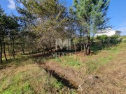 Terreno R�stico - Nogueira, Viana do Castelo, Viana do Castelo - Miniatura: 8/9