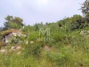 Terreno Urbano - �ncora, Caminha, Viana do Castelo - Miniatura: 2/9