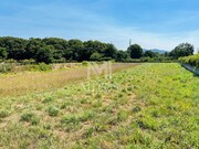 Terreno R�stico - Santa Maria Maior, Viana do Castelo, Viana do Castelo - Miniatura: 5/7