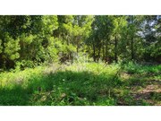 Terreno R�stico - Moledo, Caminha, Viana do Castelo - Miniatura: 7/9