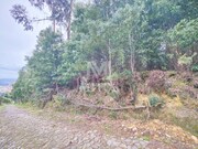 Terreno R�stico - Venade, Caminha, Viana do Castelo - Miniatura: 1/5