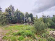 Terreno R�stico - Venade, Caminha, Viana do Castelo - Miniatura: 2/5