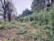 Terreno R�stico - Venade, Caminha, Viana do Castelo - Miniatura: 3/5