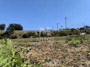 Terreno R�stico - Alvar�es, Viana do Castelo, Viana do Castelo - Miniatura: 4/8