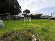 Quinta T5 - Darque, Viana do Castelo, Viana do Castelo - Miniatura: 5/9