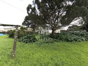 Quinta T5 - Darque, Viana do Castelo, Viana do Castelo - Miniatura: 7/9