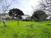 Quinta T5 - Darque, Viana do Castelo, Viana do Castelo - Miniatura: 9/9